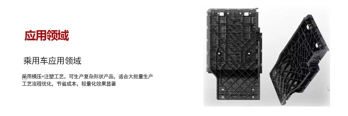 乘用車應(yīng)用領域